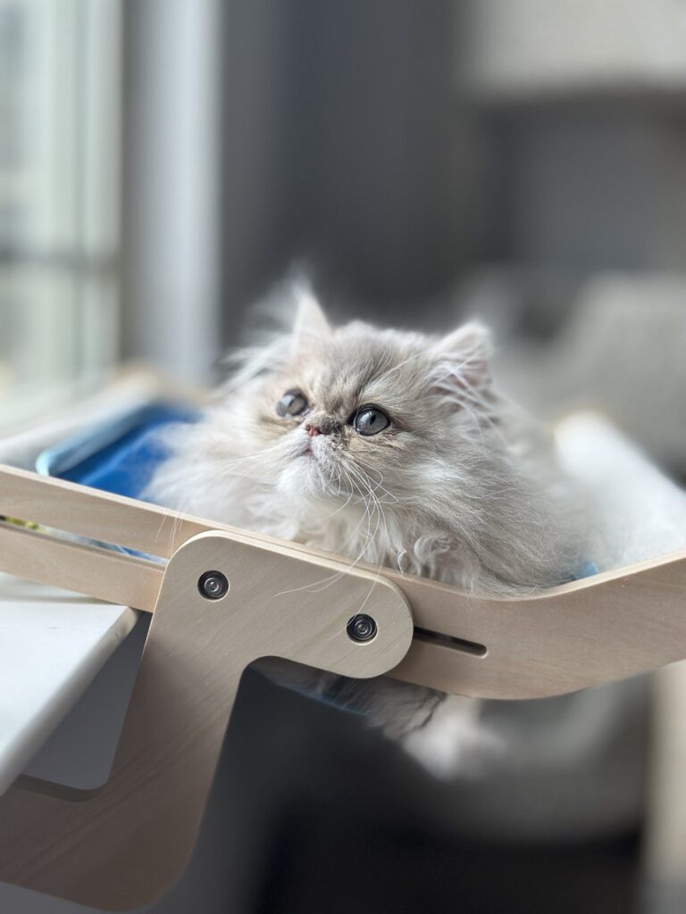 photo_2023-08-12_17-19-21